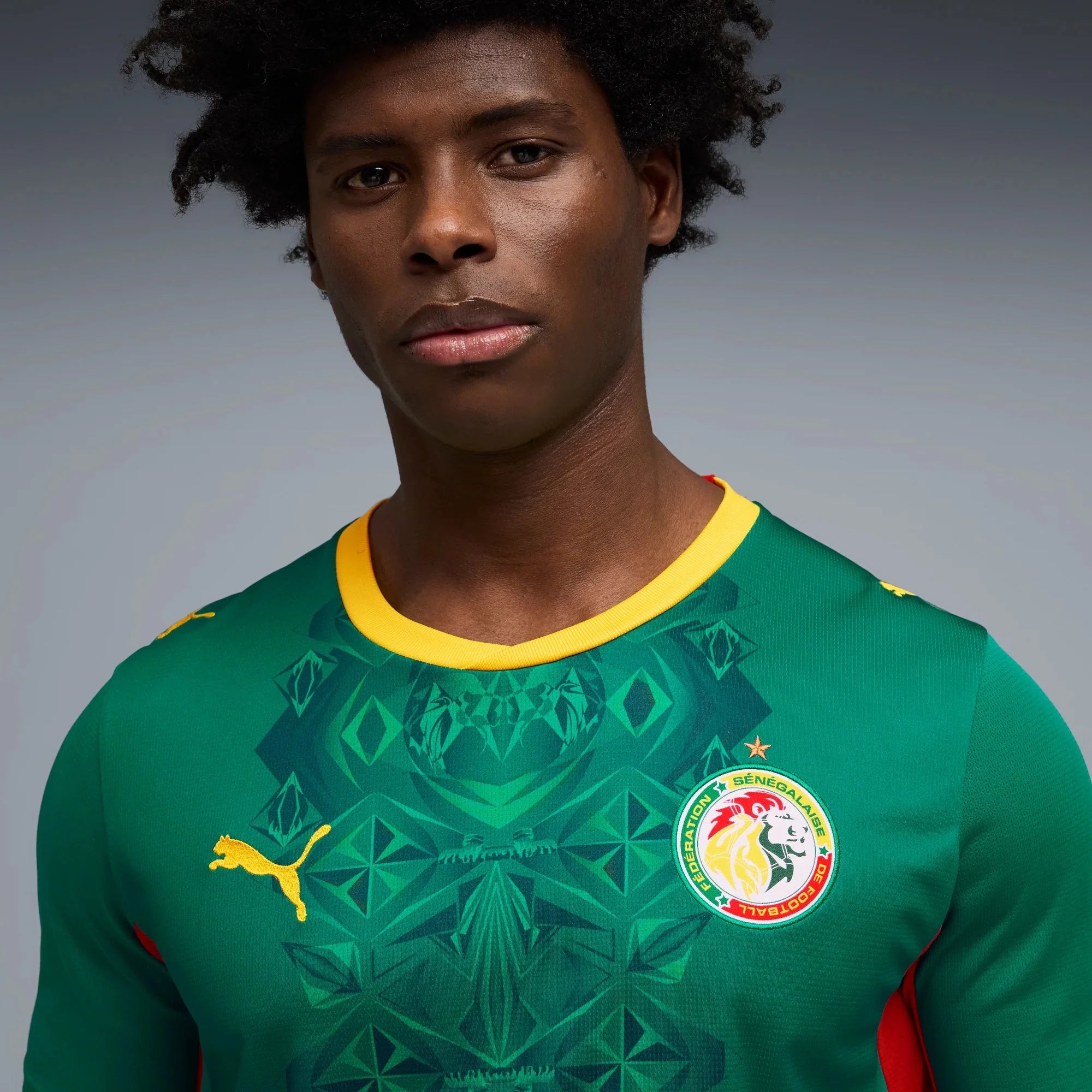 Puma 2026 Senegal Men's Stadium Away Soccer Jersey 5