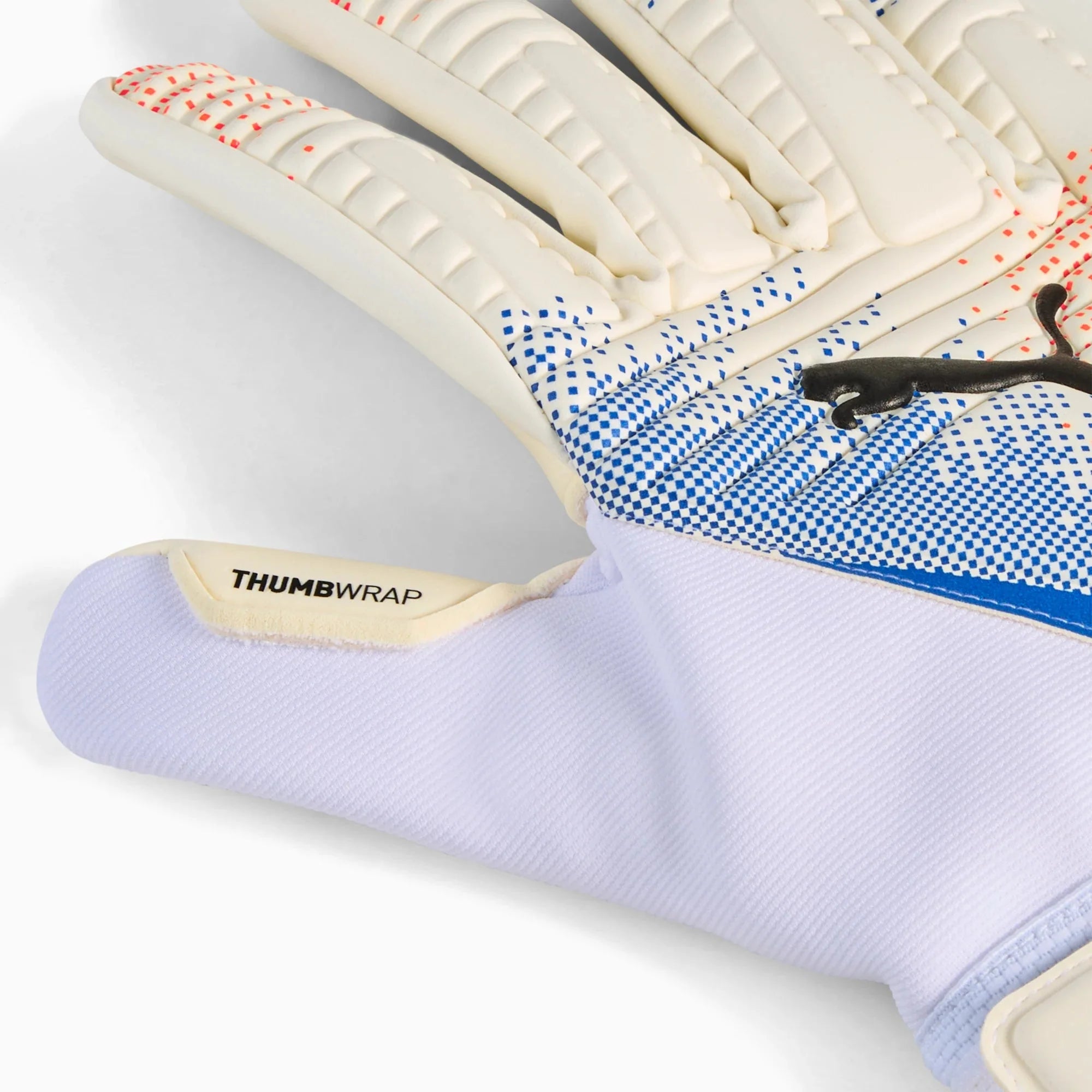 Puma Future Match NC Goalkeeper Gloves 2