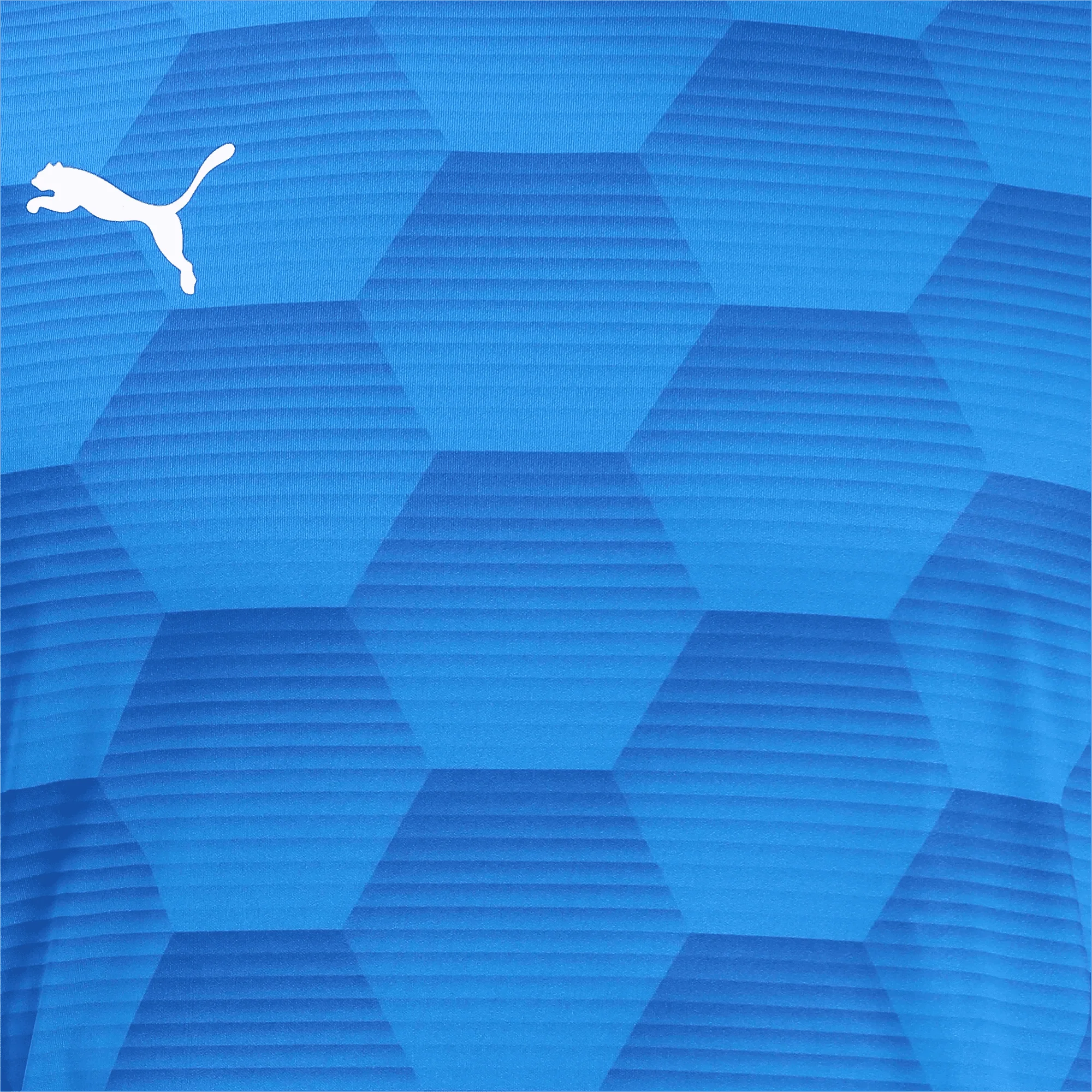 Puma Men's TeamFinal 21 Graphic Jersey 5