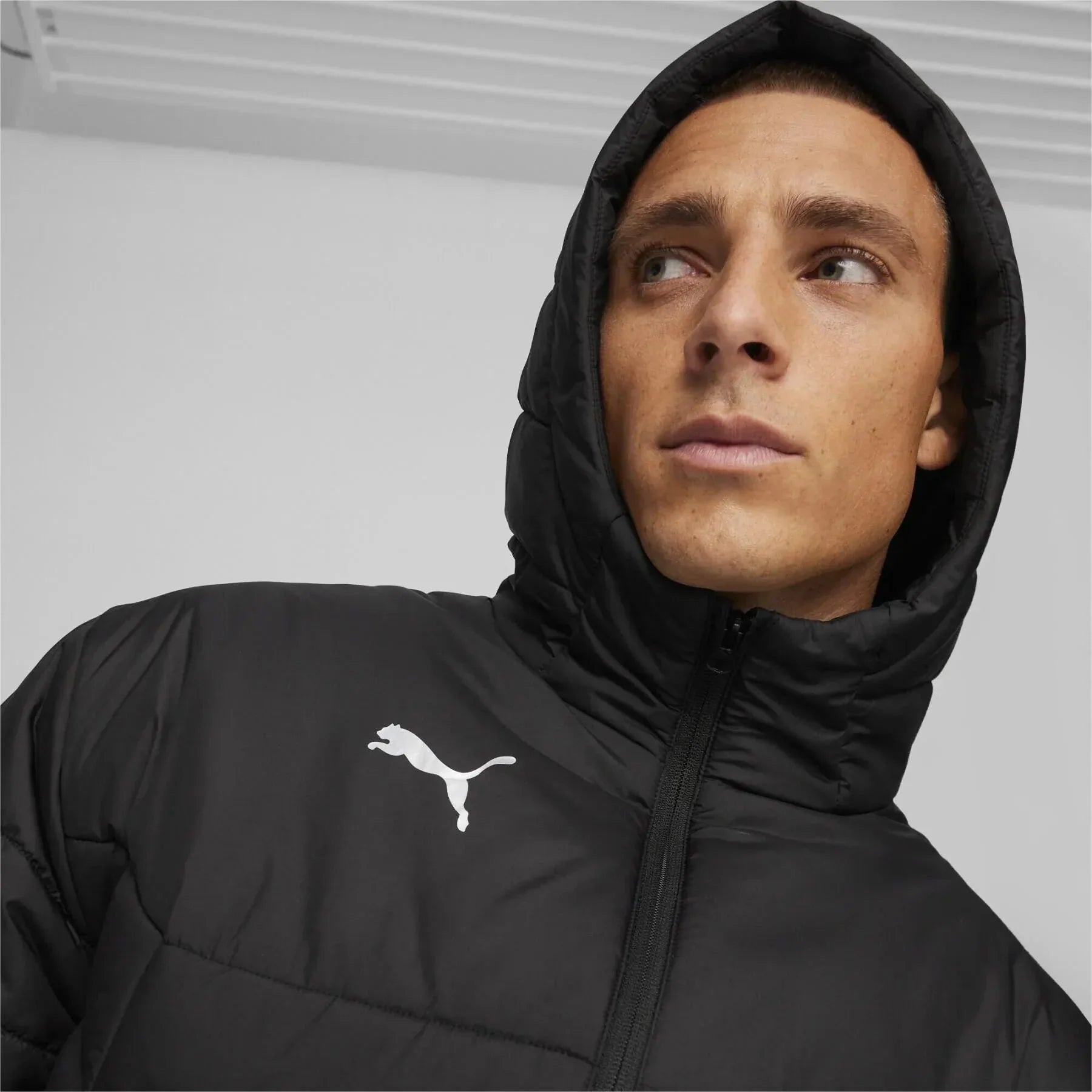 Puma Men's TeamFinal Bench Jacket 5