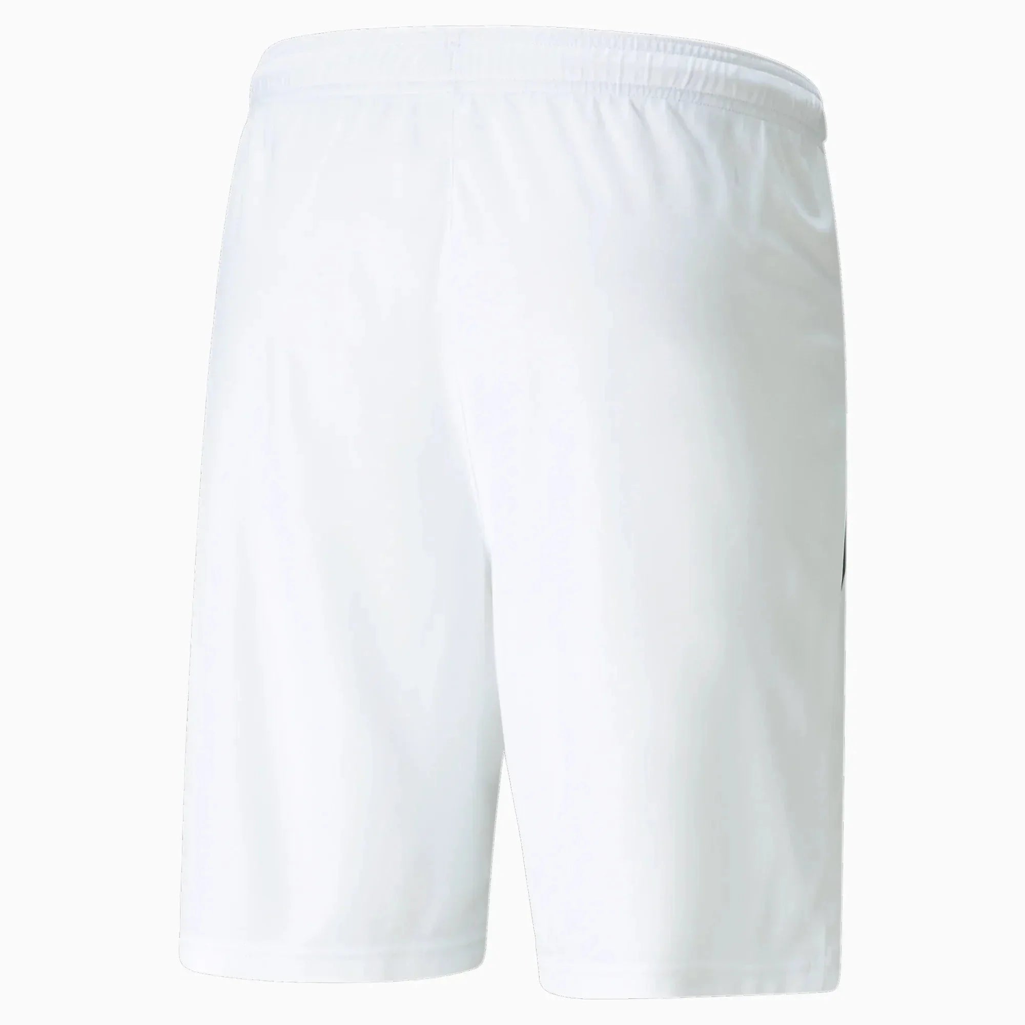 Puma Men's TeamLiga Shorts 2