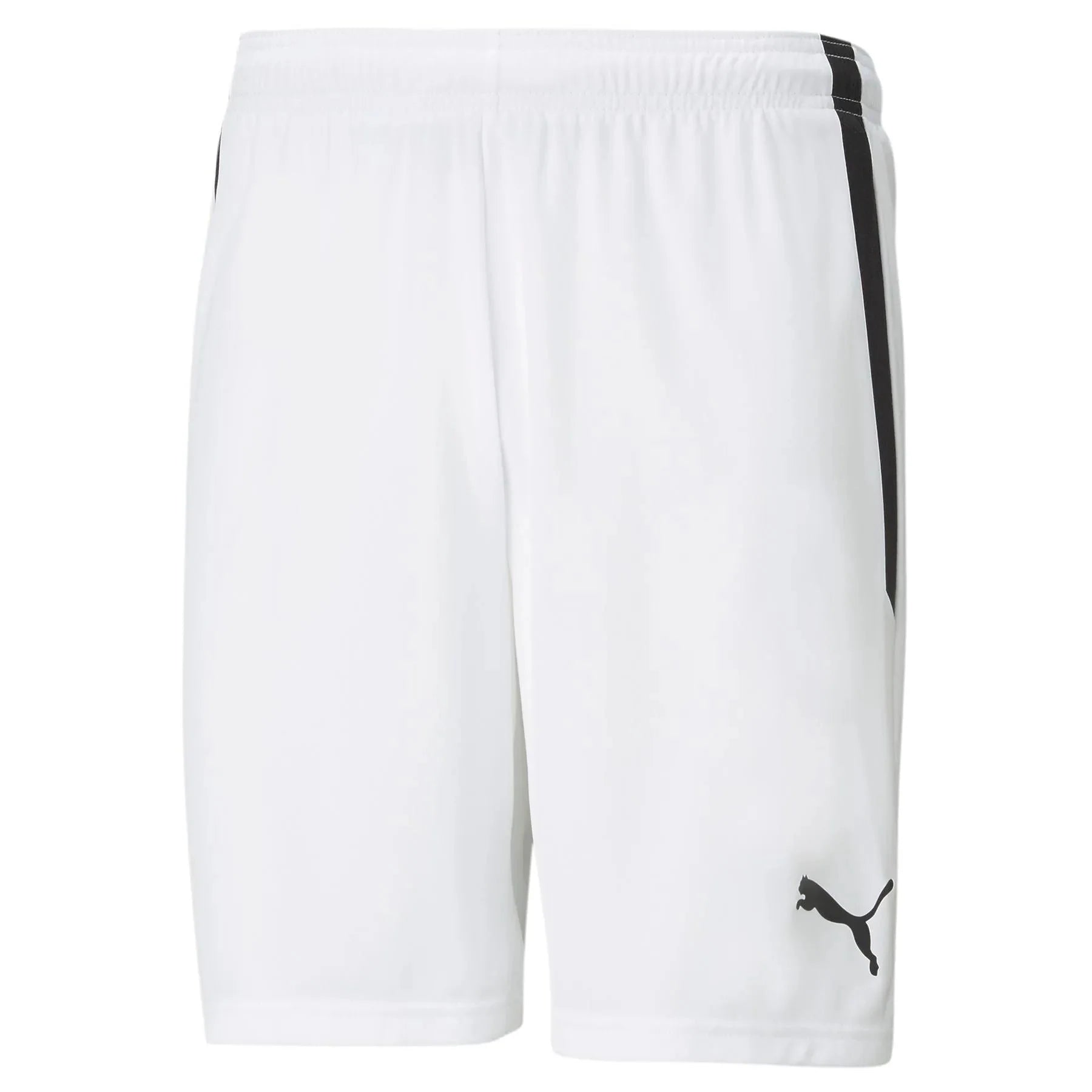 Puma Men's TeamLiga Shorts 1