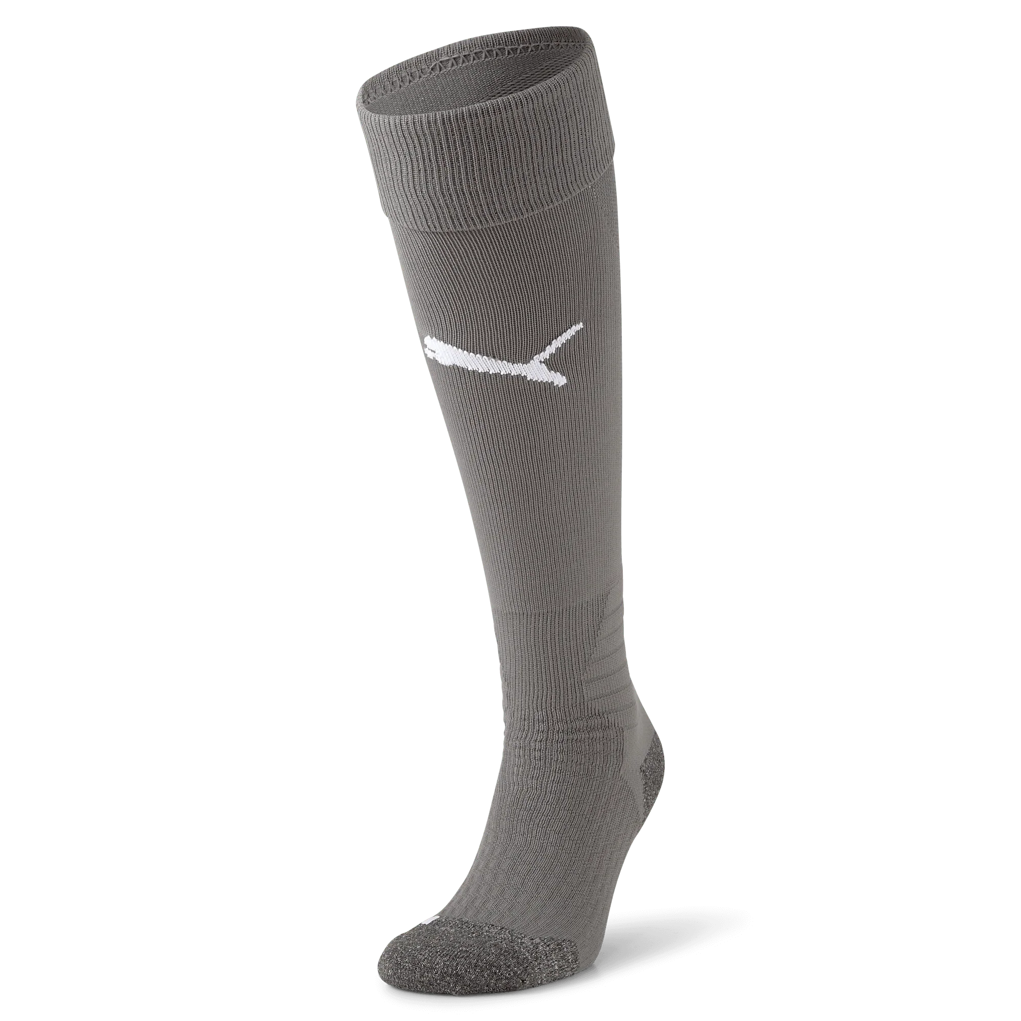 Puma Team Liga Socks 14
