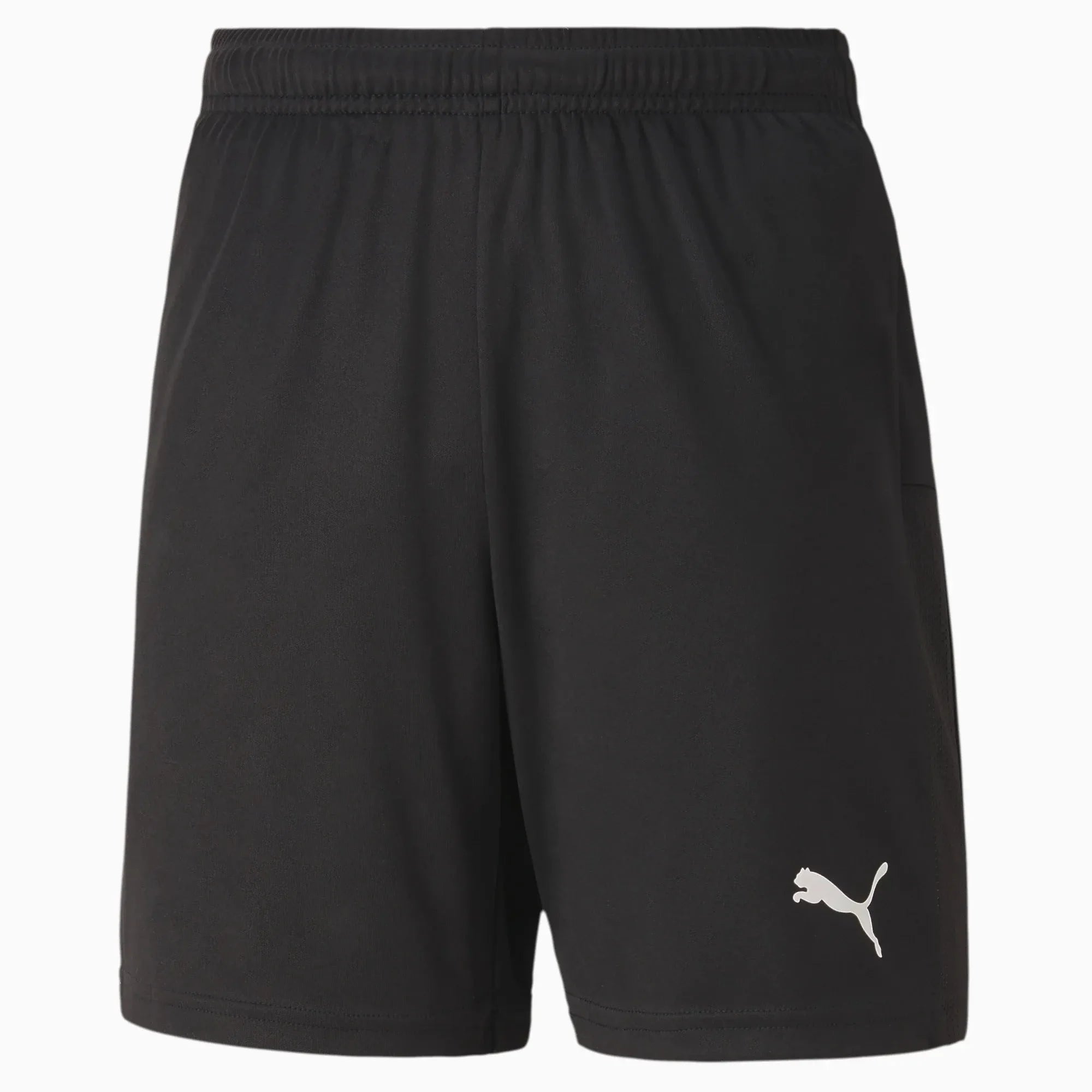 Puma Teamgoal 23 Knit Youth Shorts 1