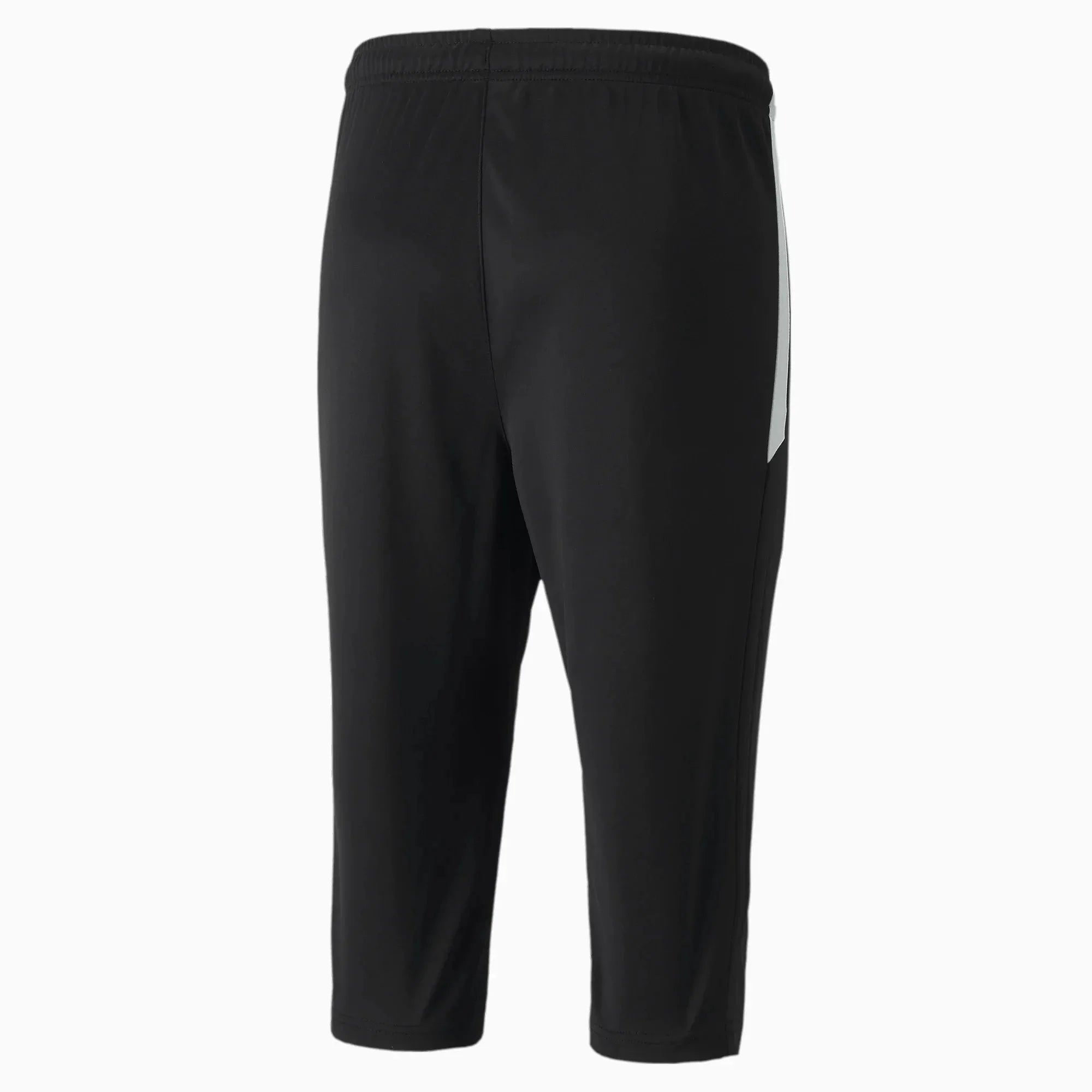 Puma TeamLiga Training 3/4 Men's Pants 2