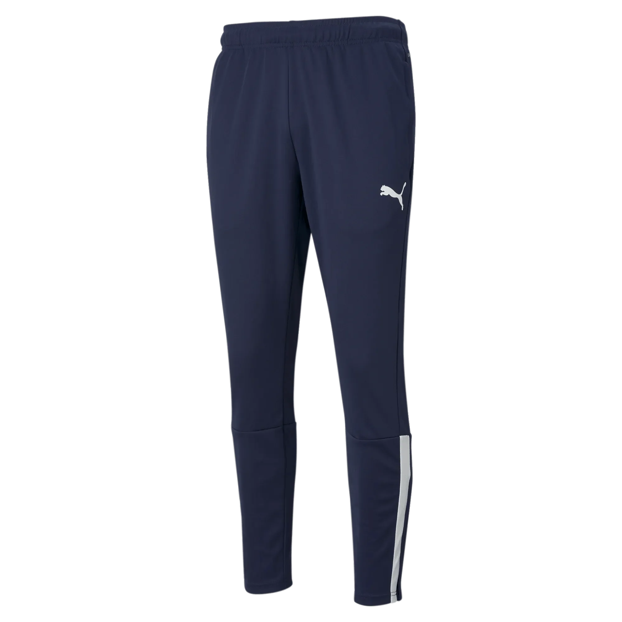 Puma TeamLiga Training Pants 1