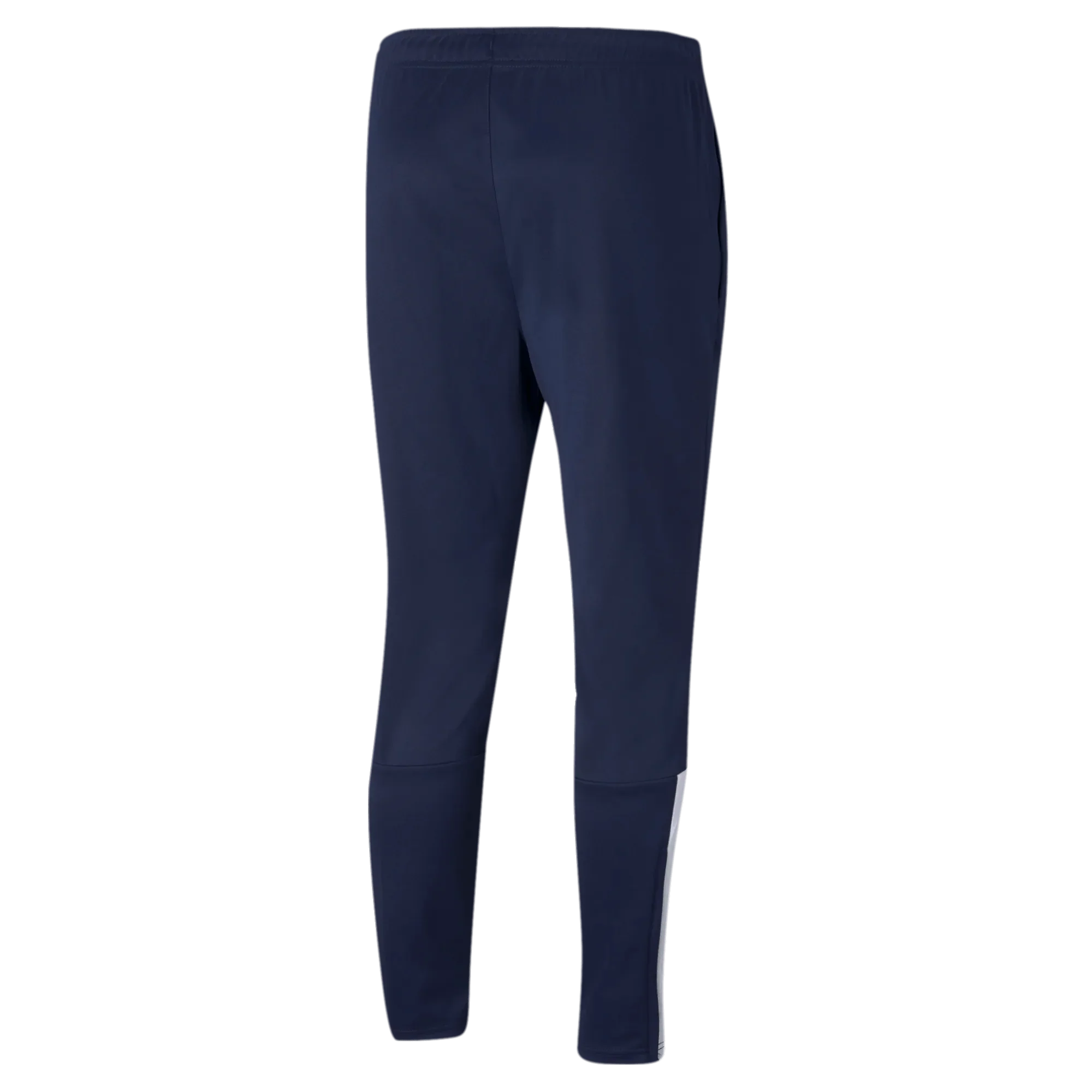 Puma TeamLiga Training Pants 2