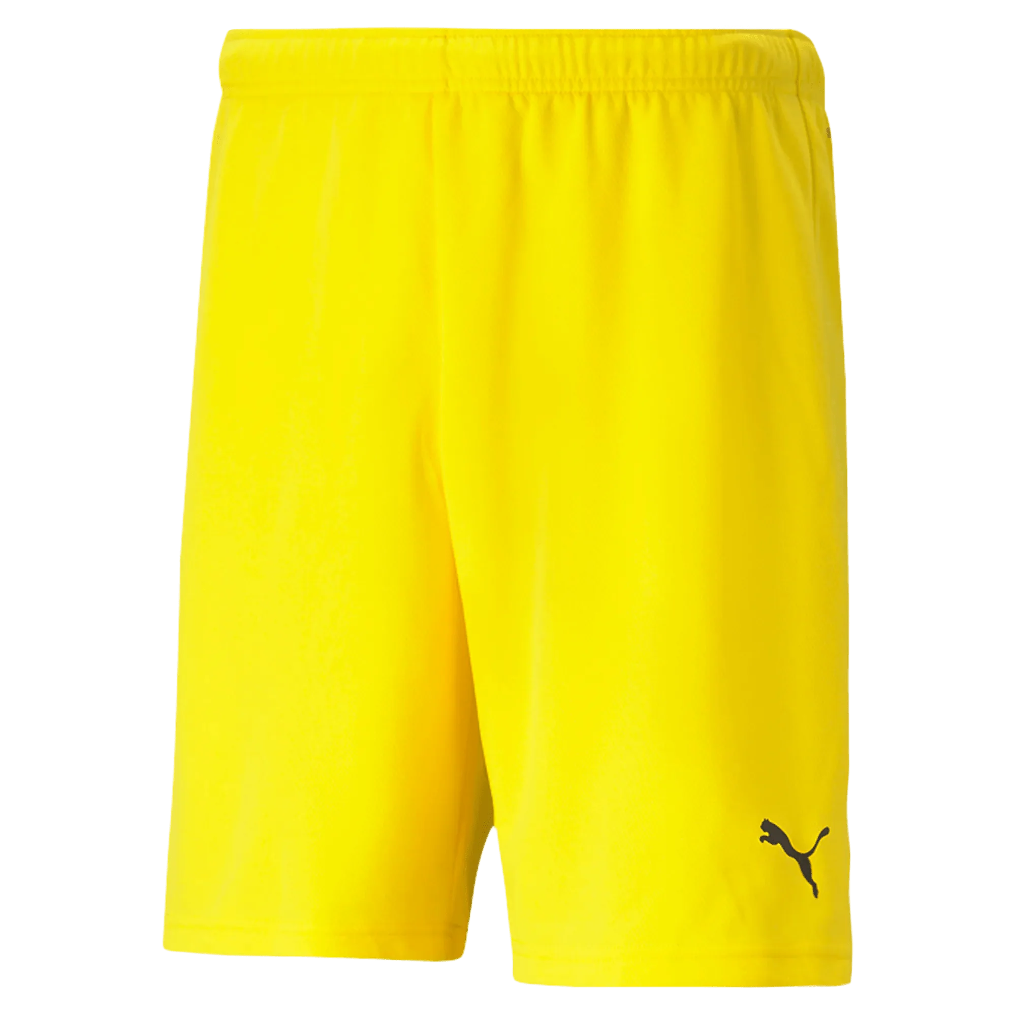 Puma Teamrise Short 10
