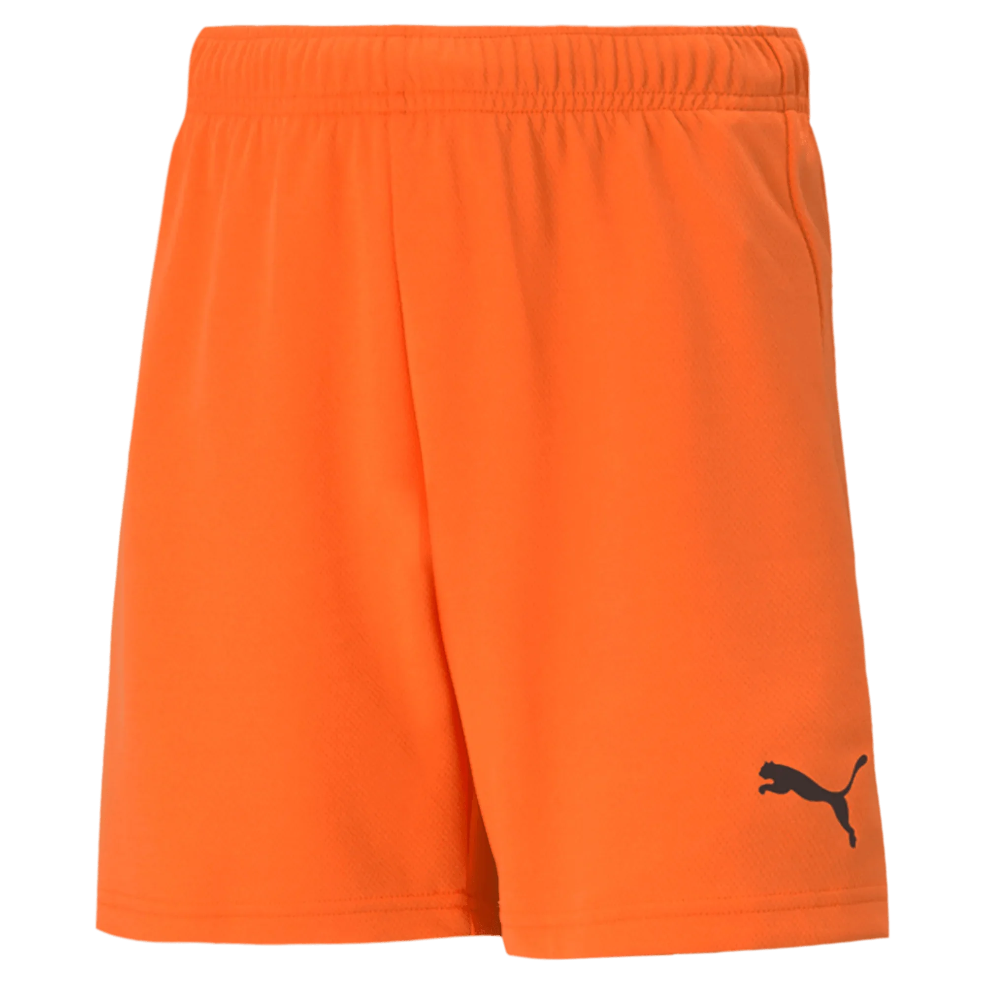 Puma Teamrise Youth Short 9