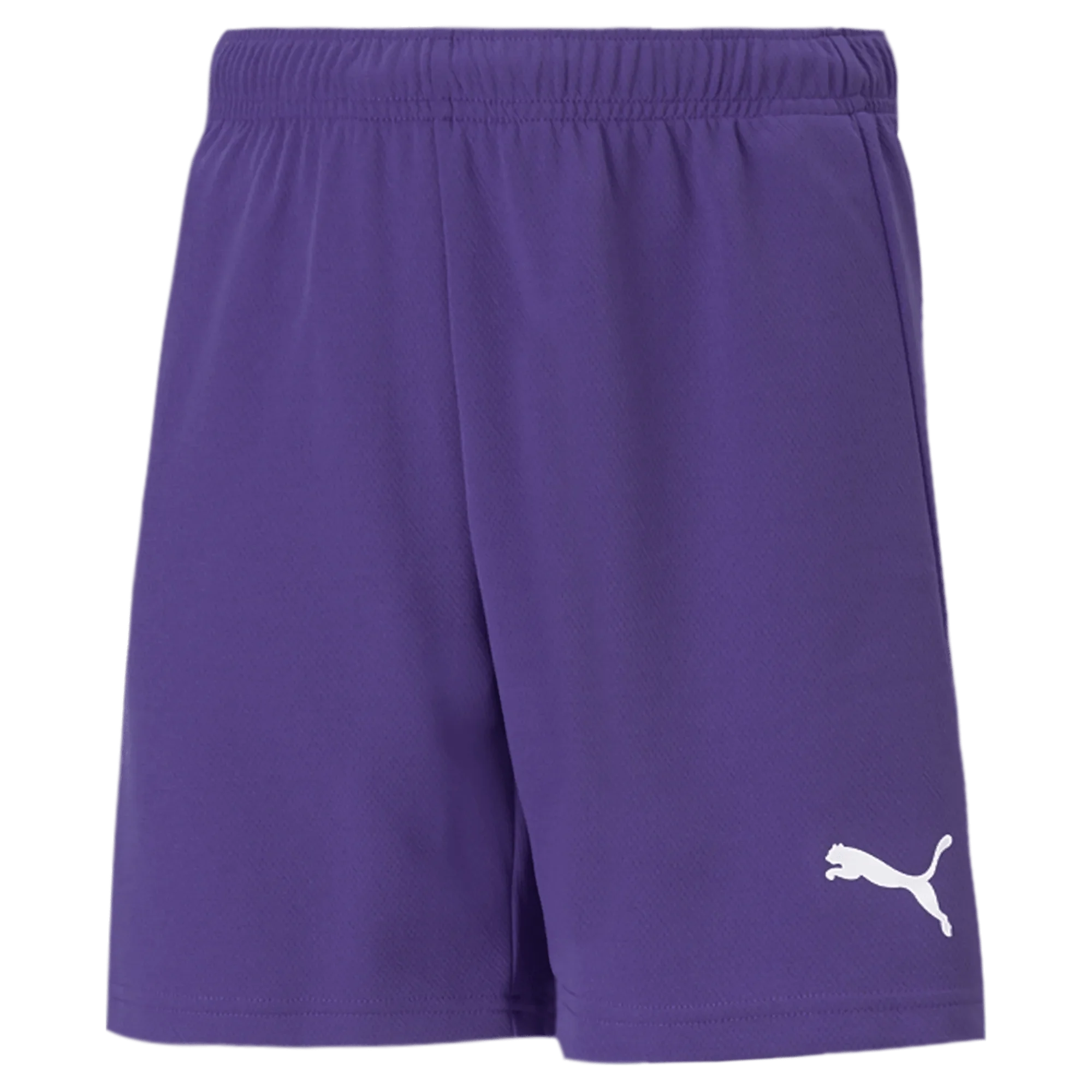 Puma Teamrise Youth Short 10