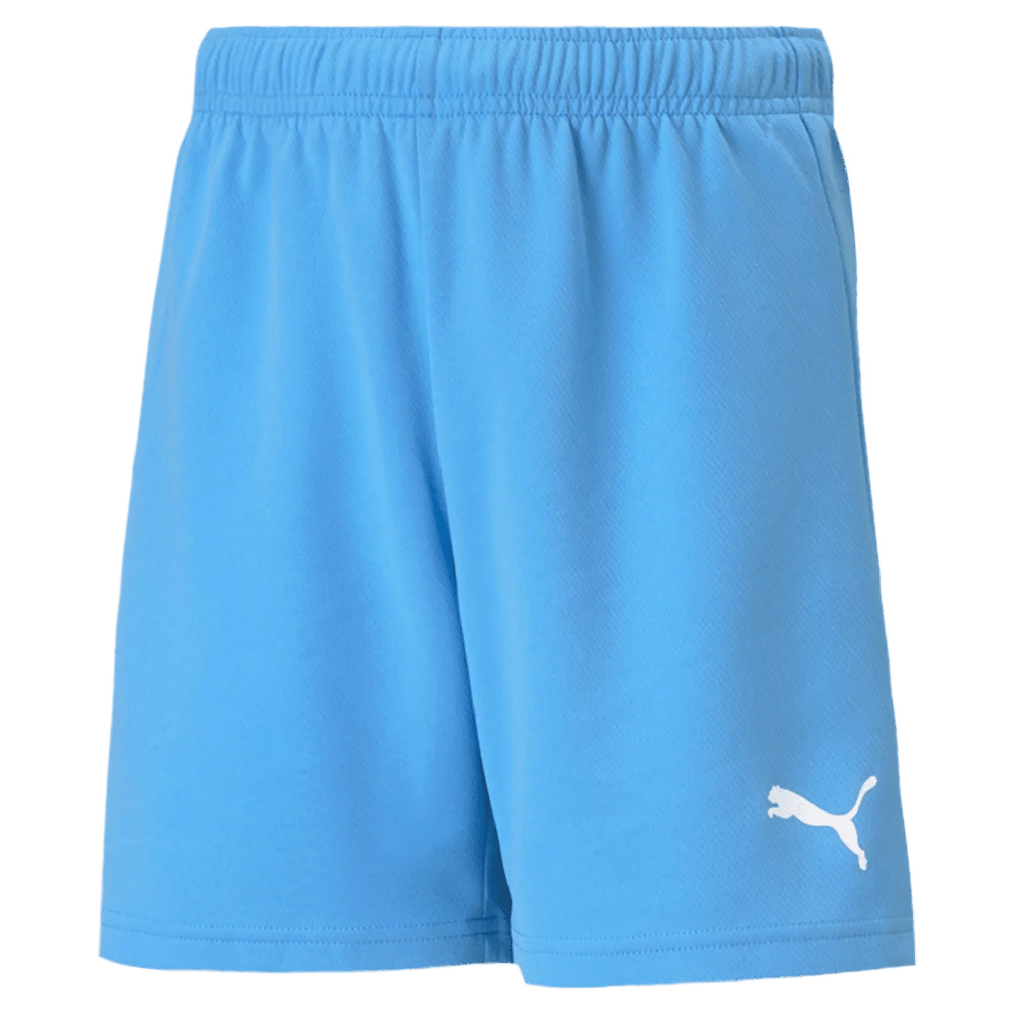Puma Teamrise Youth Short 8