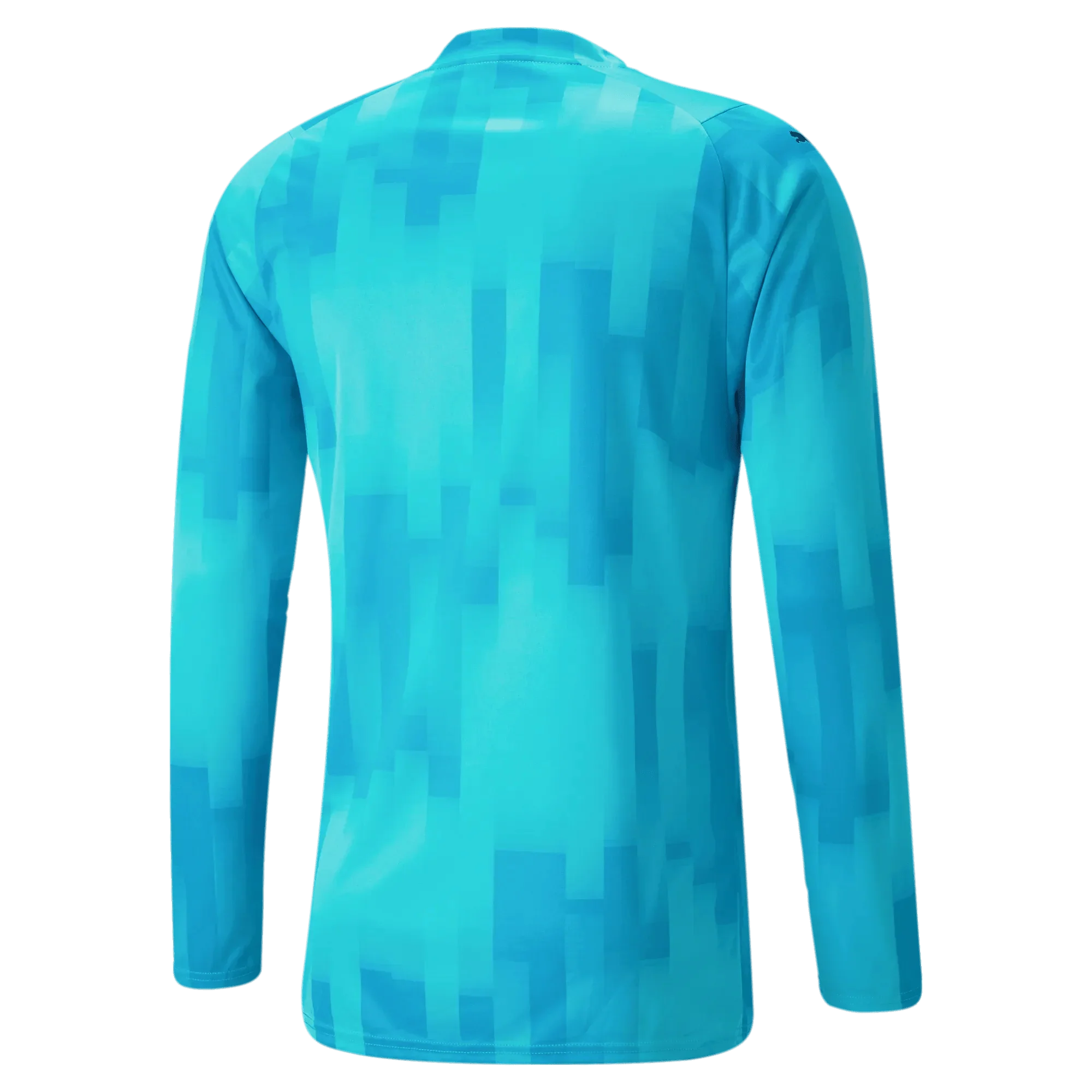 Puma Teamtarget Goalkeeper Longsleeve Mens Jersey 2