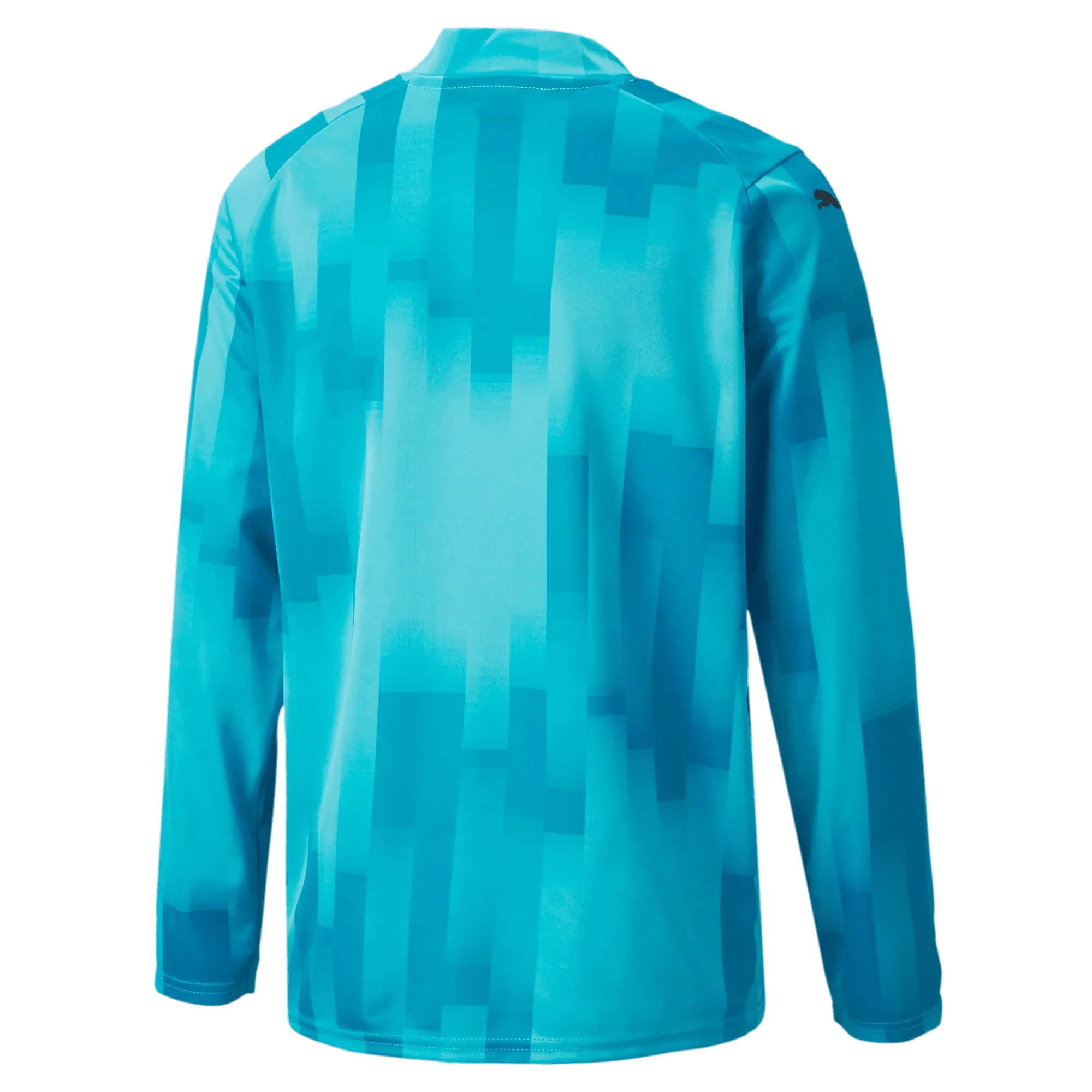 Puma Teamtarget Goalkeeper Longsleeve Youth Jersey 2