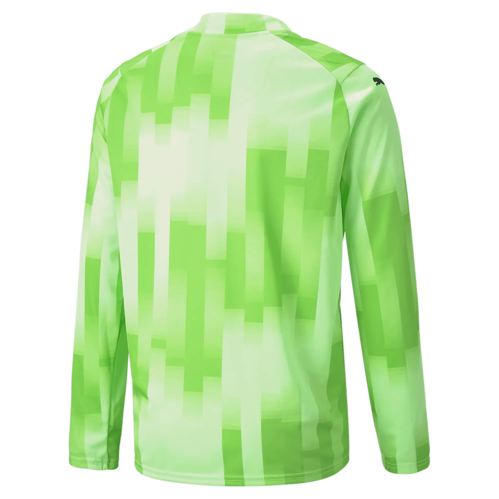 Puma Teamtarget Goalkeeper Longsleeve Youth Jersey 4