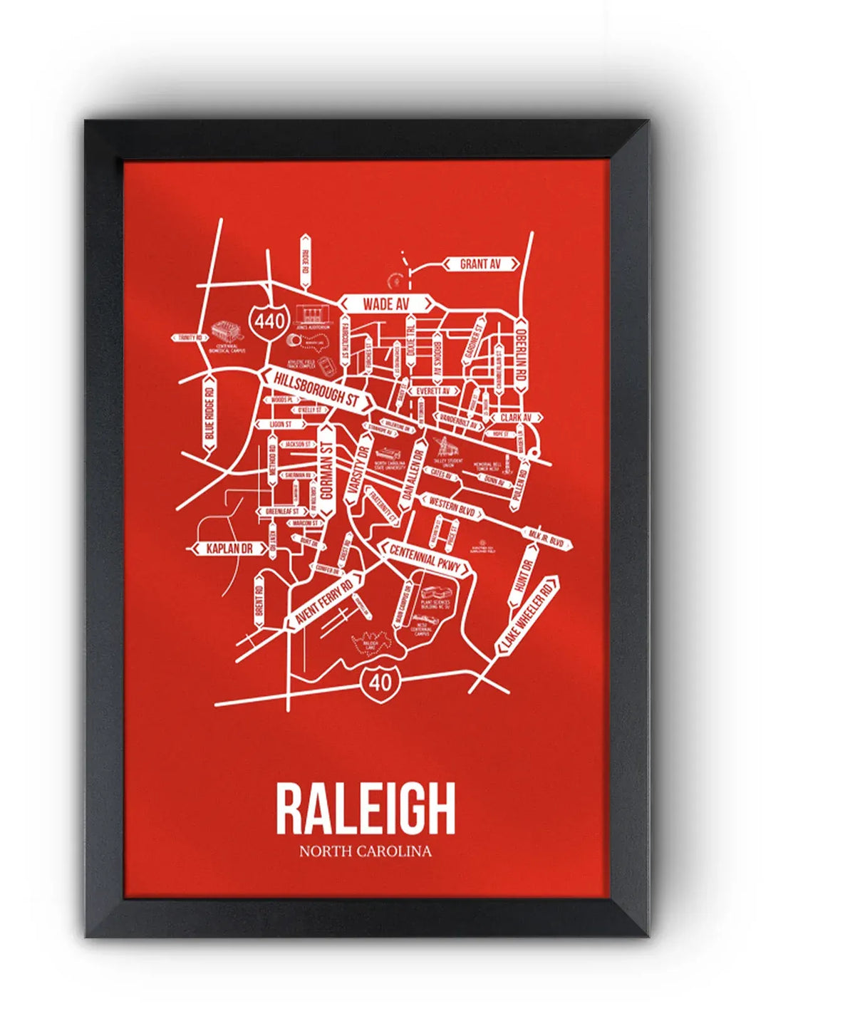 Raleigh, North Carolina street map 10