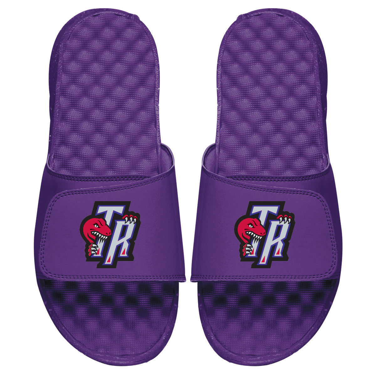 Raptors HWC Secondary Logo Slides 1