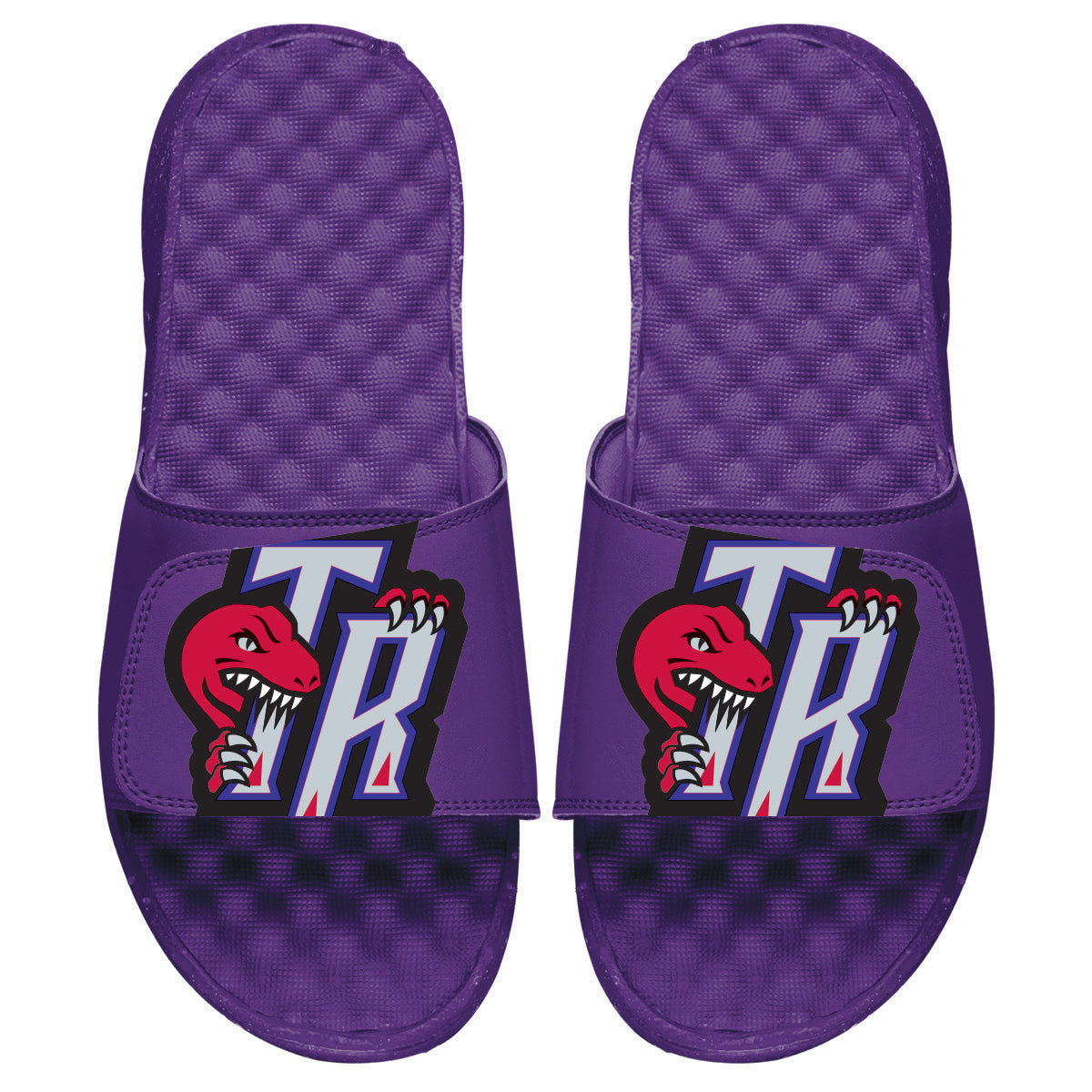 Raptors HWC Big Secondary Logo Slides 1