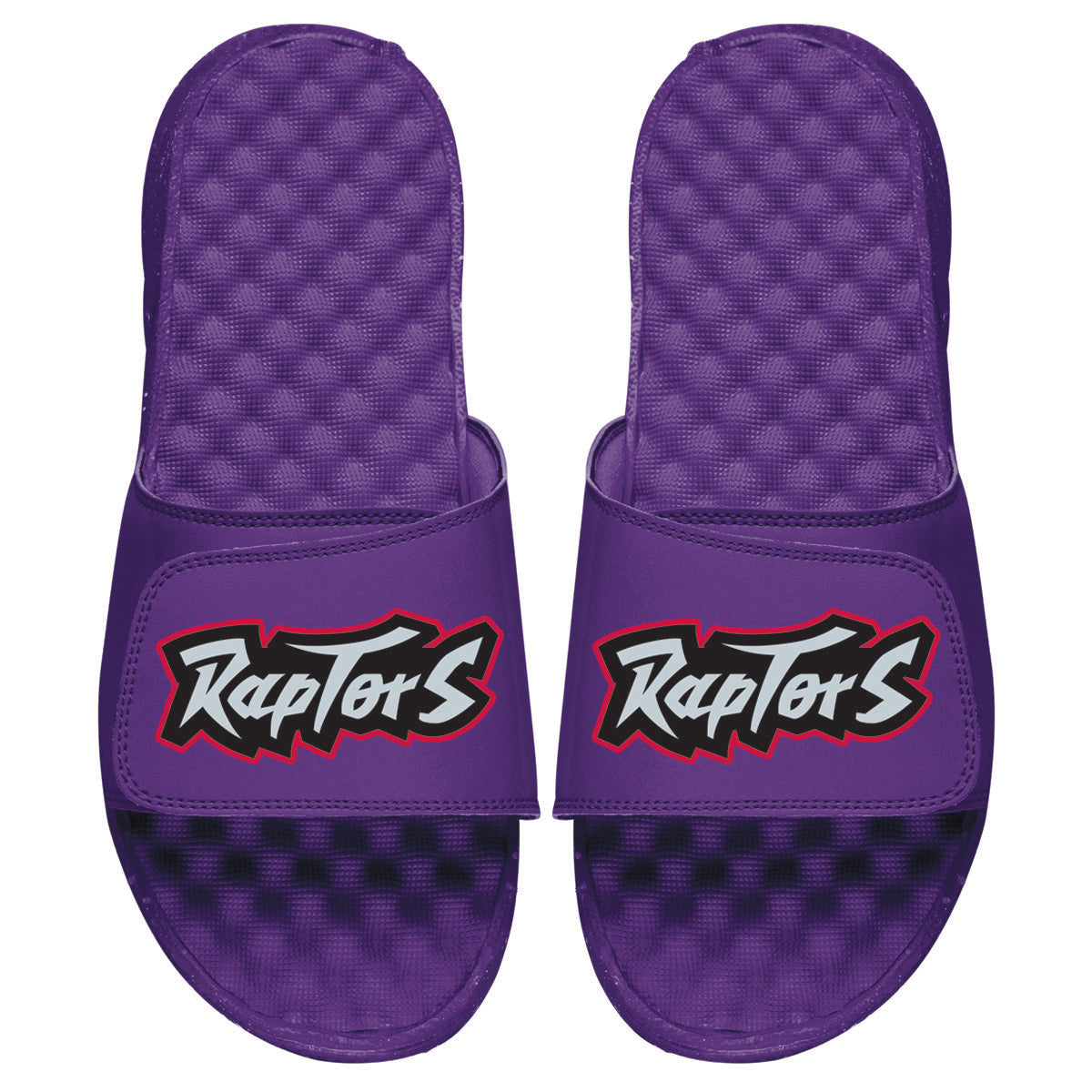 Raptors HWC Wordmark Slides 1