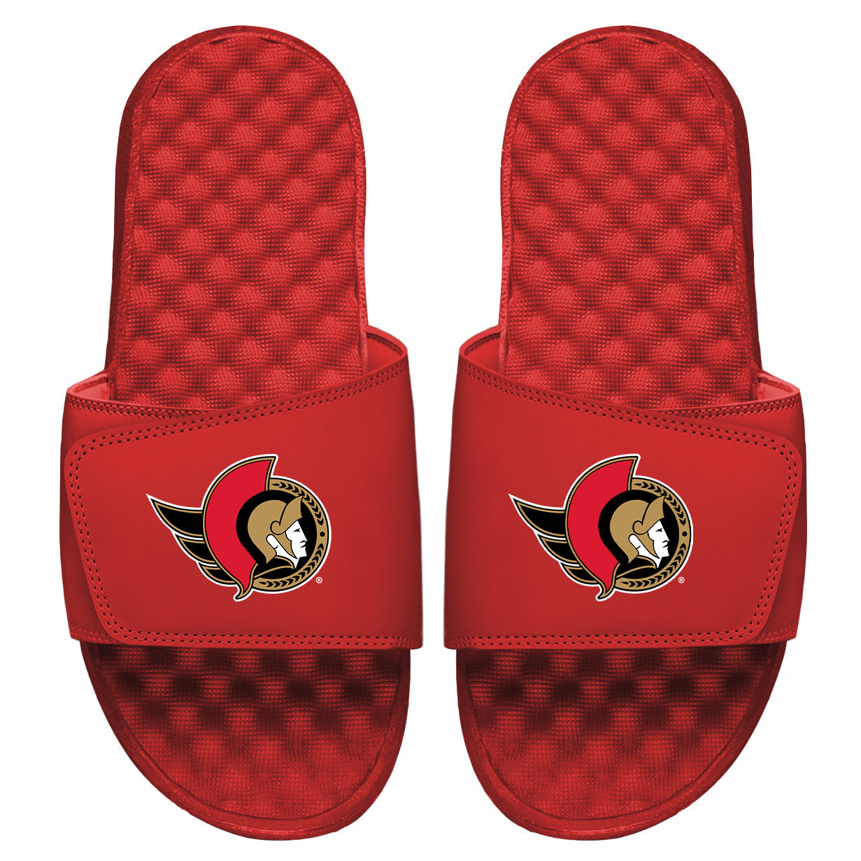 Ottawa Senators Primary Slides 3