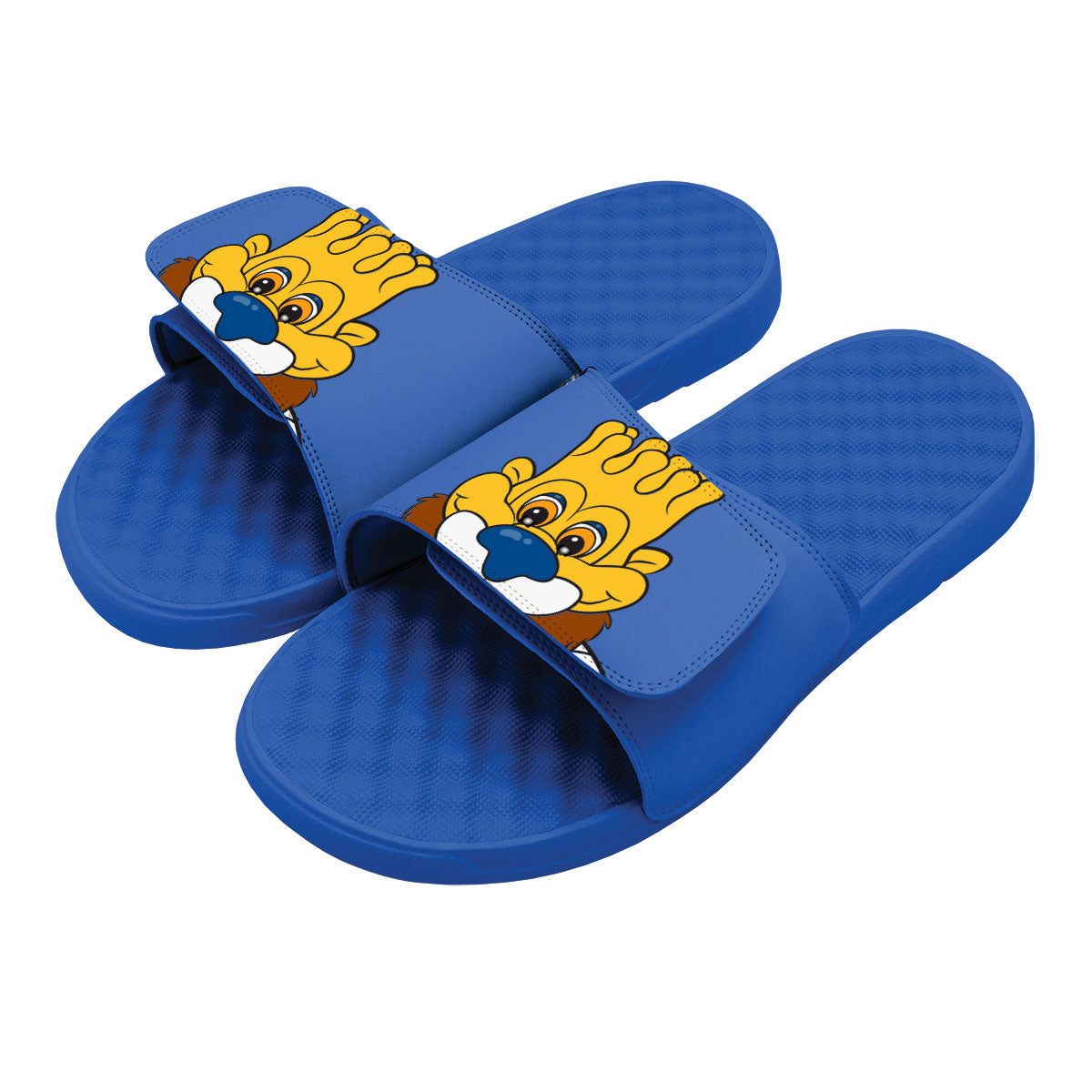 Kansas City Royals Mascot Slides 1