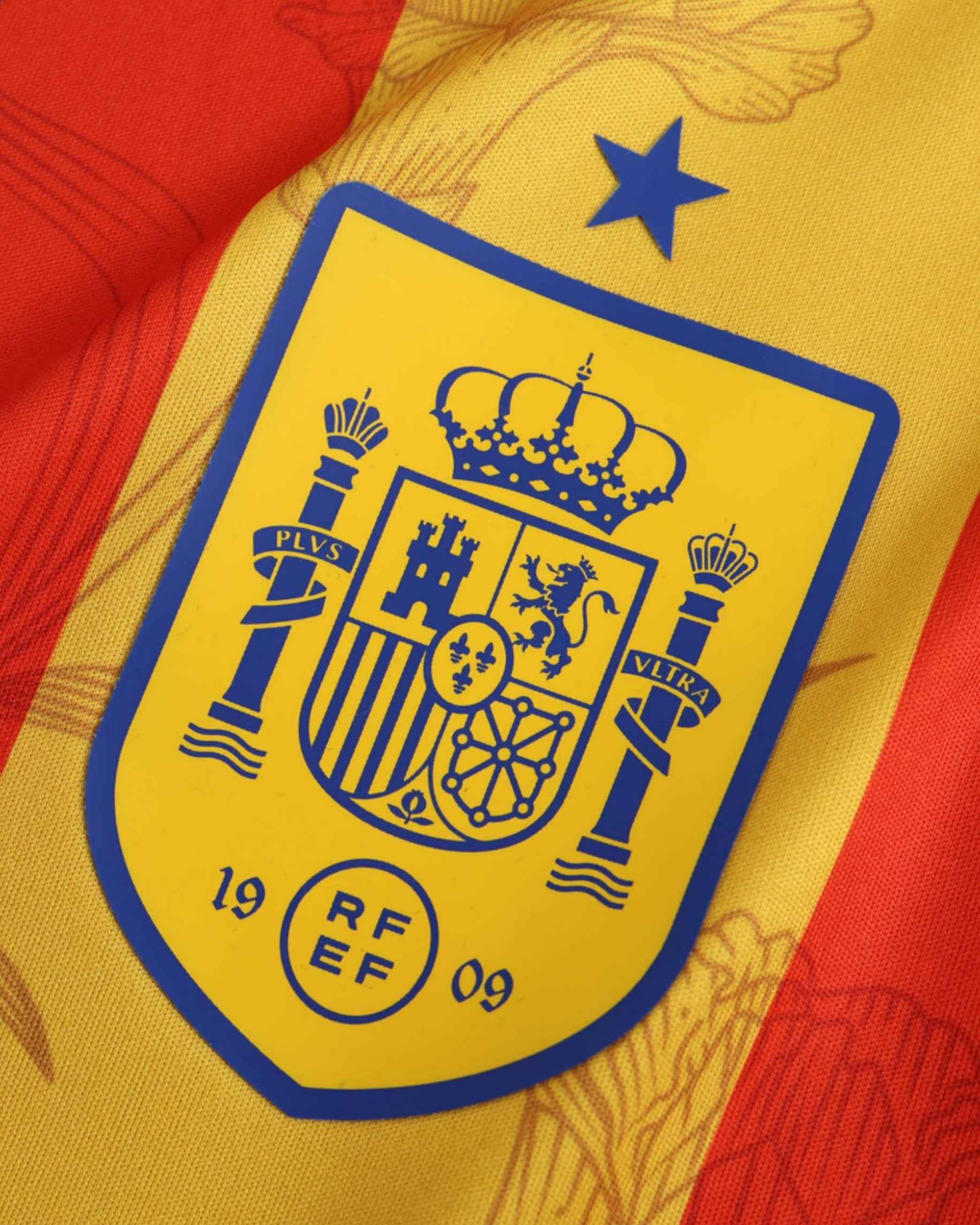 SPAIN UEFA TRAINING 2024/25 4
