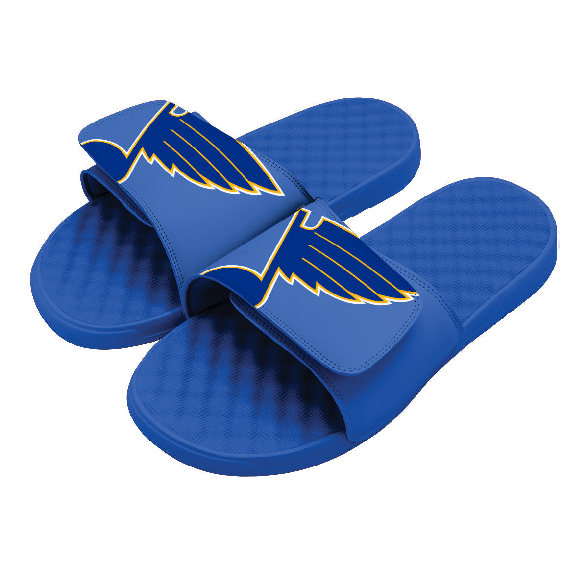 St Louis Blues Blown Up Slides