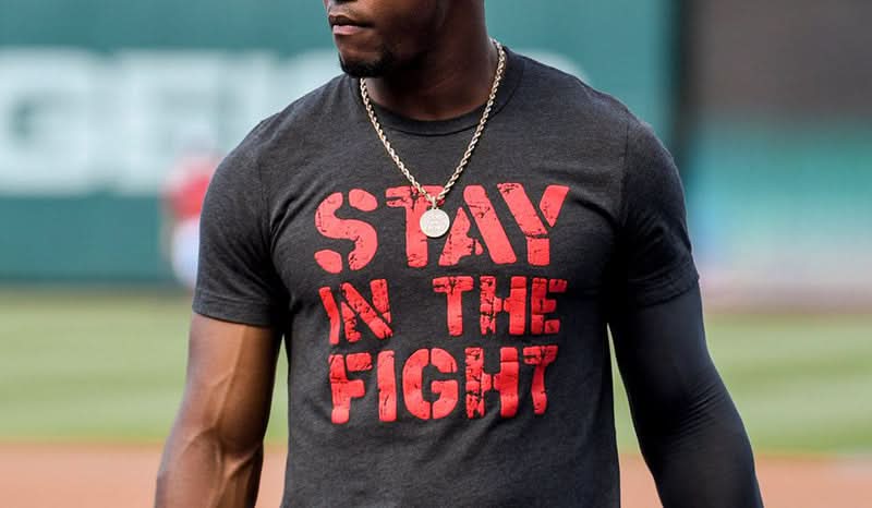 Stay In The Fight 5