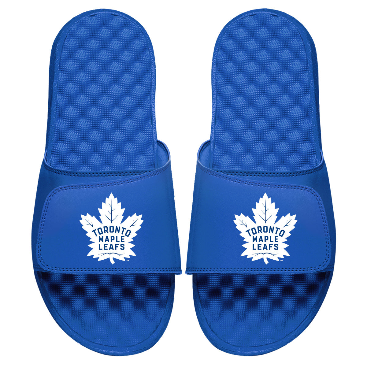 Toronto Maple Leafs Primary Slides 3