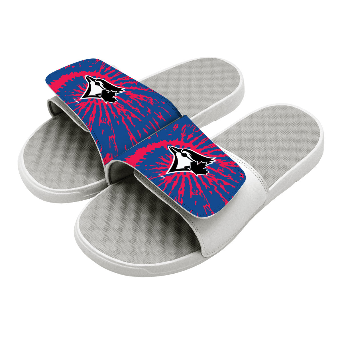 Toronto Blue Jays Slides 1