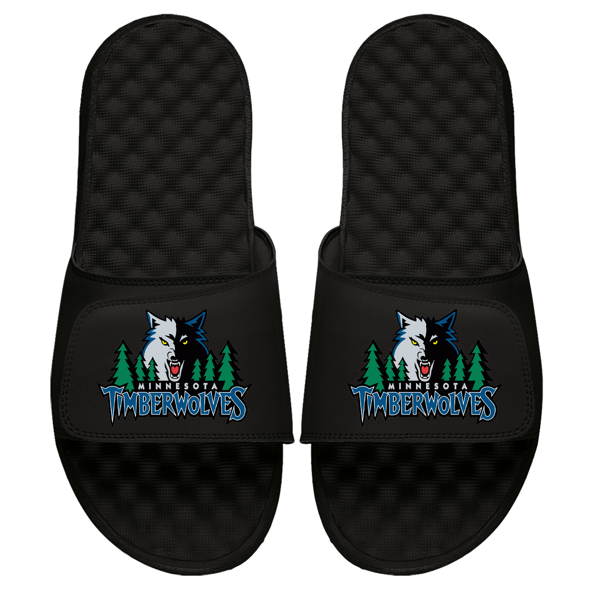 Minnesota Timberwolves HWC Primary Slides 1