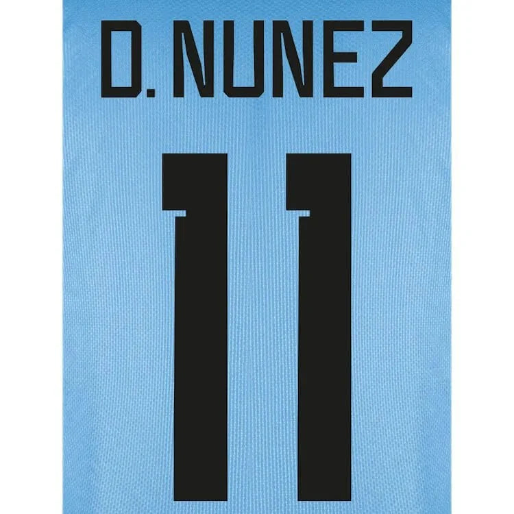 Uruguay 2022-23 Home/Away  D. Nunez #11 Jersey Name Set 1
