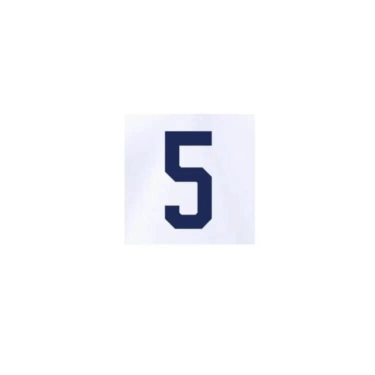 USMNT 2022-23 Home A. Robinson #5 Jersey Name Set 2