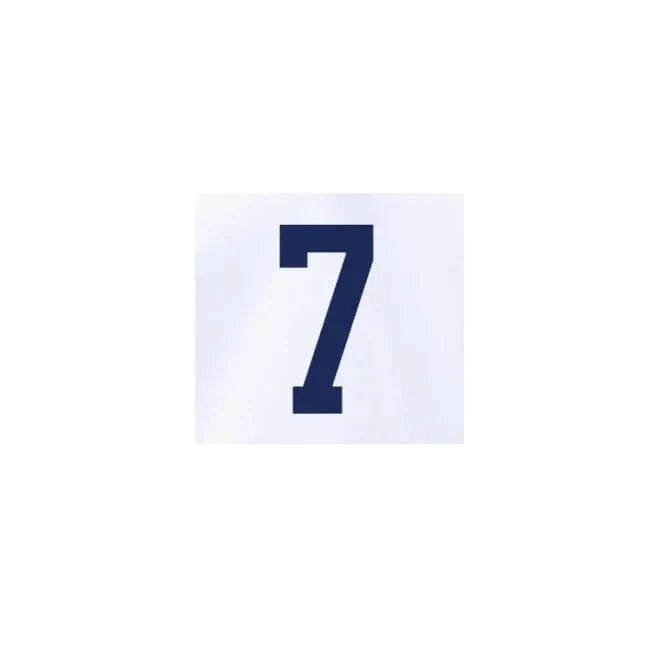 USA 2022-23 Home Reyna #7 Jersey Name Set 2