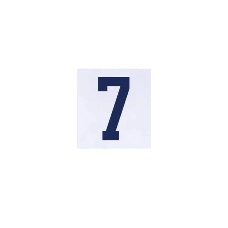 USMNT 2024/25 Home Reyna #7 Jersey Name Set 2