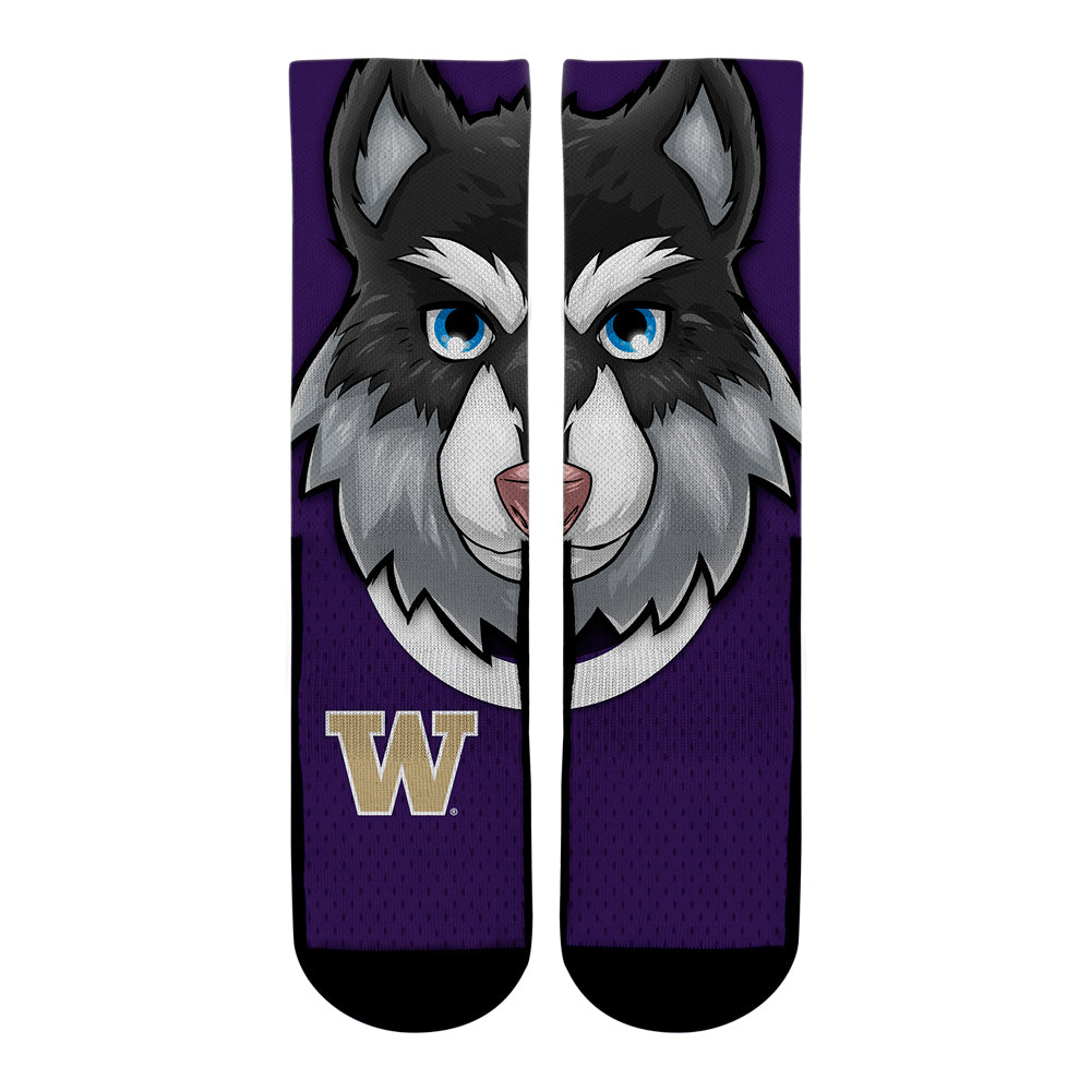 Washington Huskies - Harry the Husky Mascot | Rock 'Em Socks 1