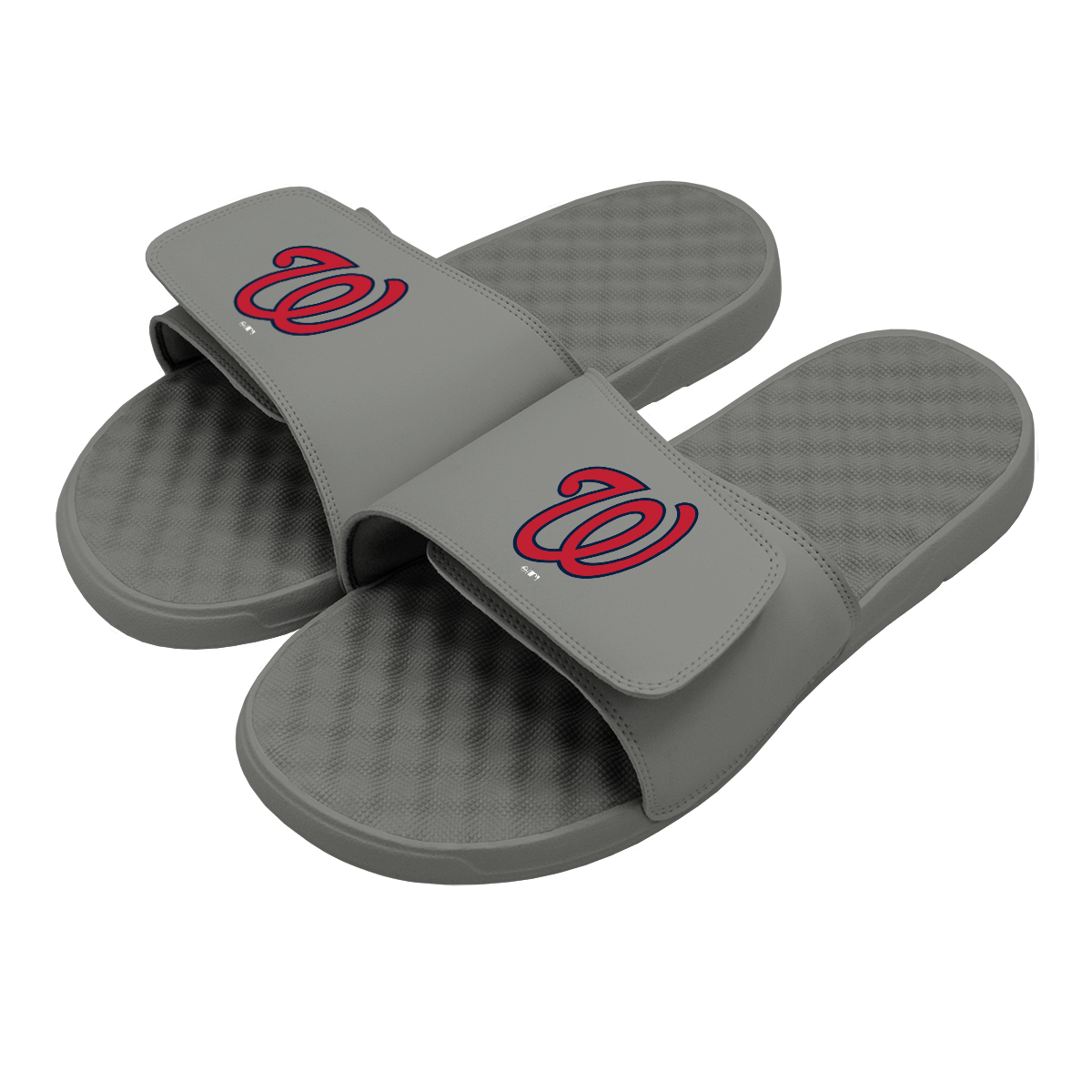 Washington Nationals Alternative Slides 2