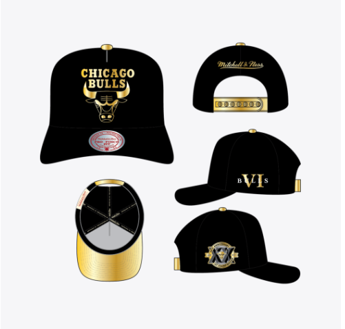 Chicago Bulls - NBA Core VI Pro Snapback Hat 1