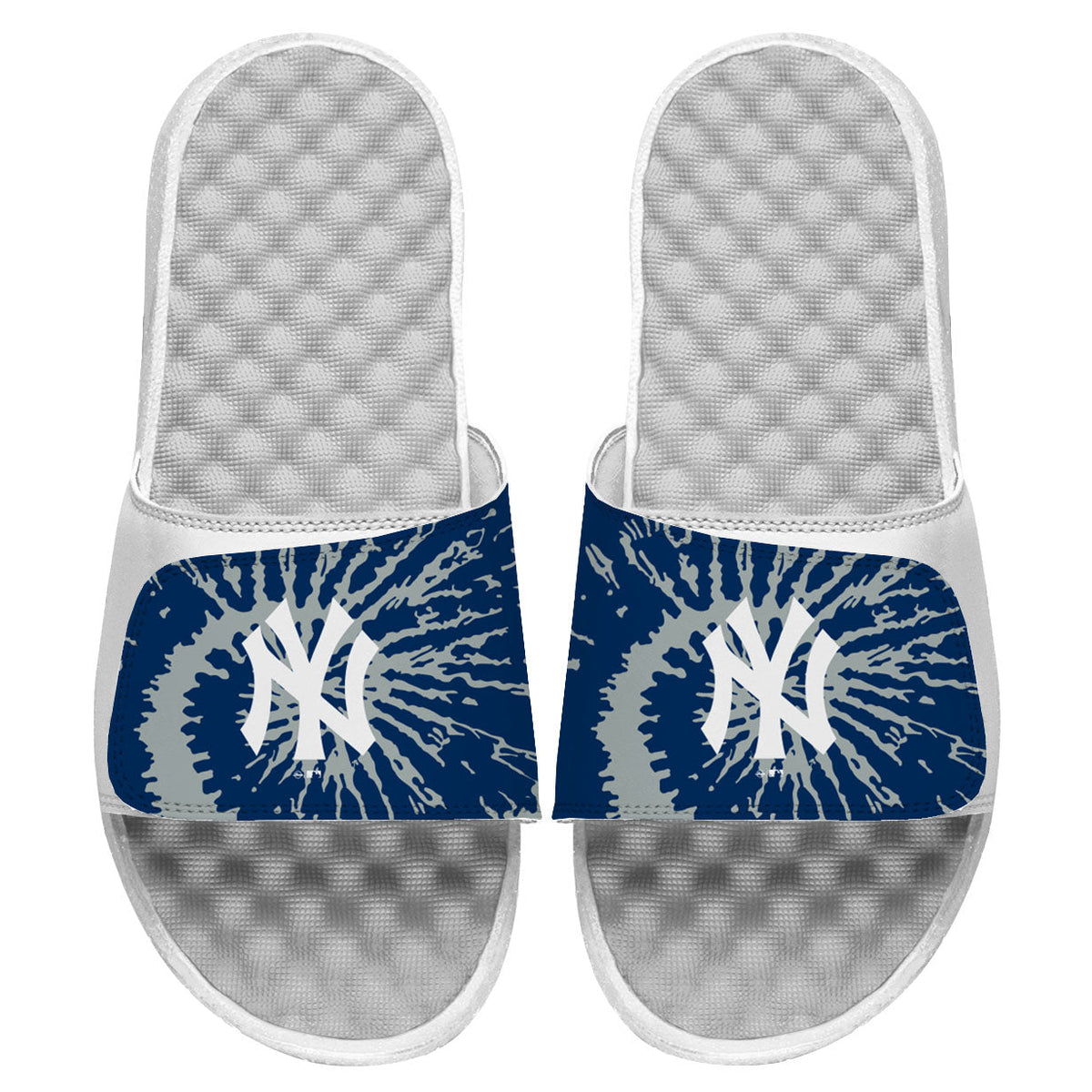 New York Yankees Slides